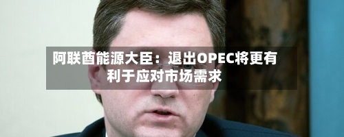 阿联酋能源大臣:退出OPEC将更有利于应对市场需求-第2张图片