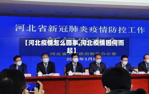 【河北疫情怎么回事,河北疫情因何而起】-第2张图片