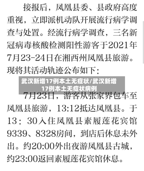 武汉新增17例本土无症状/武汉新增17例本土无症状病例