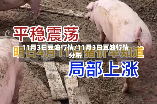 11月3日豆油行情/11月3日豆油行情分析-第2张图片