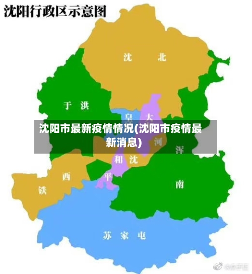 沈阳市最新疫情情况(沈阳市疫情最新消息)-第2张图片