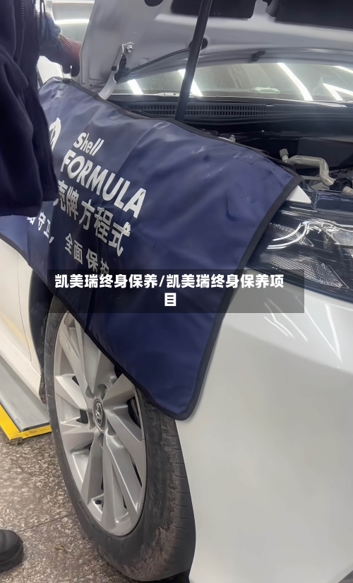 凯美瑞终身保养/凯美瑞终身保养项目-第2张图片