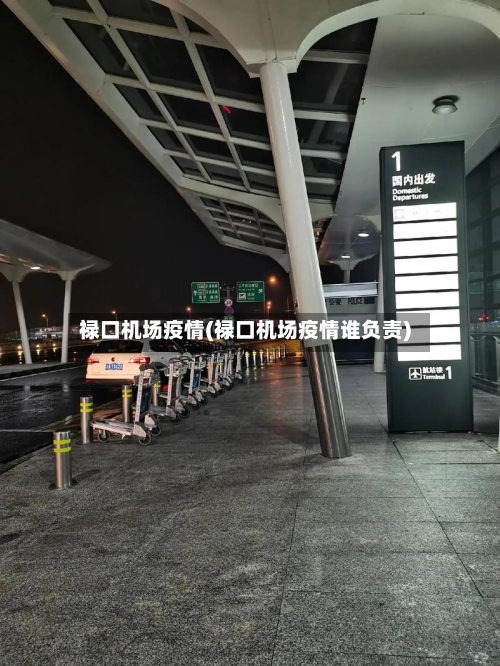 禄口机场疫情(禄口机场疫情谁负责)-第2张图片