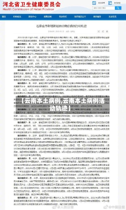 【云南本土病例,云南本土病例活动轨迹】-第2张图片