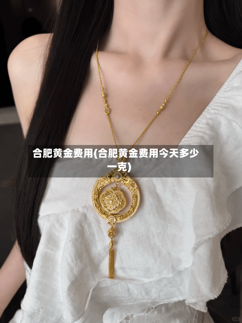 合肥黄金费用(合肥黄金费用今天多少一克)