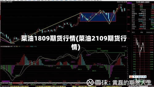 菜油1809期货行情(菜油2109期货行情)