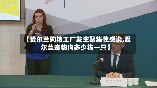 【爱尔兰狗粮工厂发生聚集性感染,爱尔兰宠物狗多少钱一只】