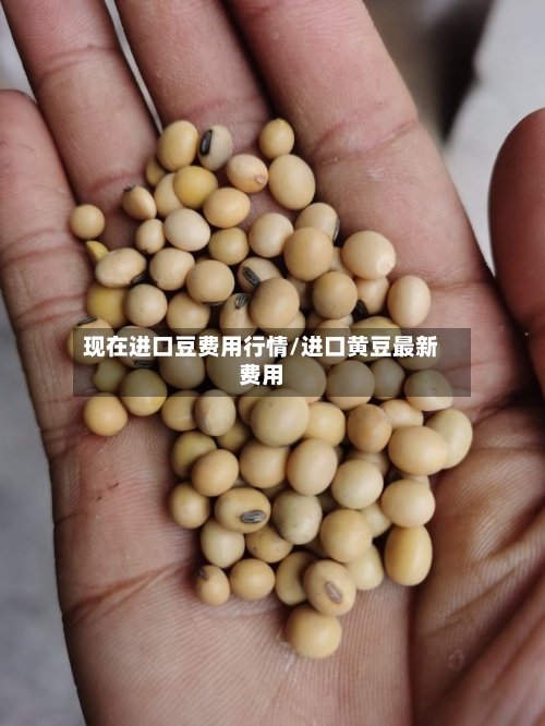现在进口豆费用行情/进口黄豆最新费用