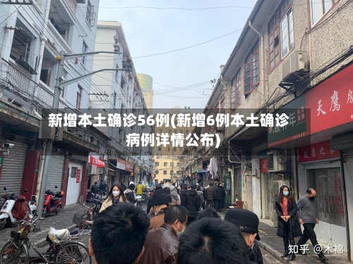新增本土确诊56例(新增6例本土确诊病例详情公布)