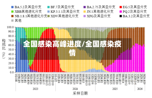 全国感染高峰进度/全国感染疫情