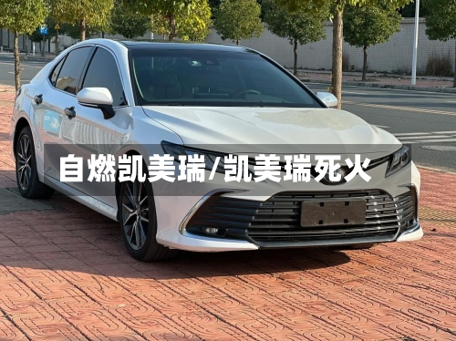 自燃凯美瑞/凯美瑞死火