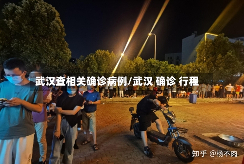 武汉查相关确诊病例/武汉 确诊 行程