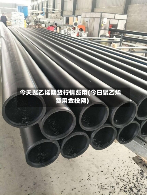 今天聚乙烯期货行情费用(今日聚乙烯费用金投网)