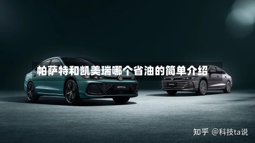 帕萨特和凯美瑞哪个省油的简单介绍