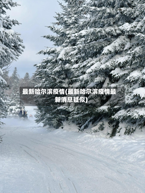 最新哈尔滨疫情(最新哈尔滨疫情最新消息疑似)