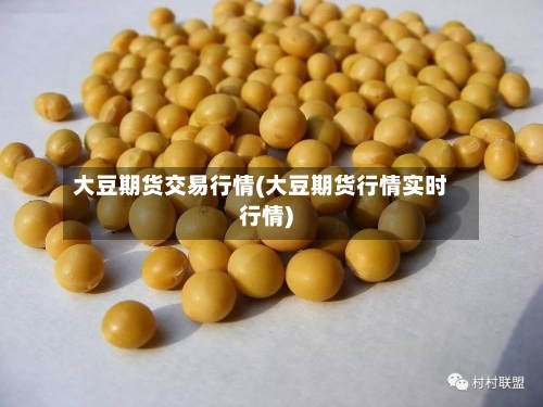 大豆期货交易行情(大豆期货行情实时行情)