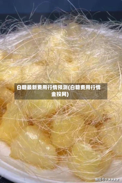白糖最新费用行情预测(白糖费用行情金投网)