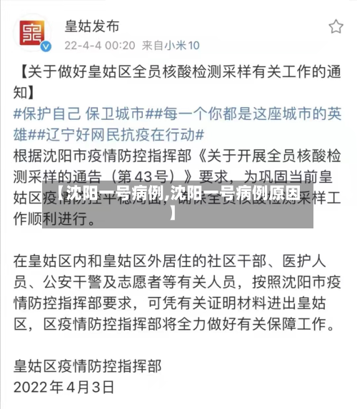 【沈阳一号病例,沈阳一号病例原因】