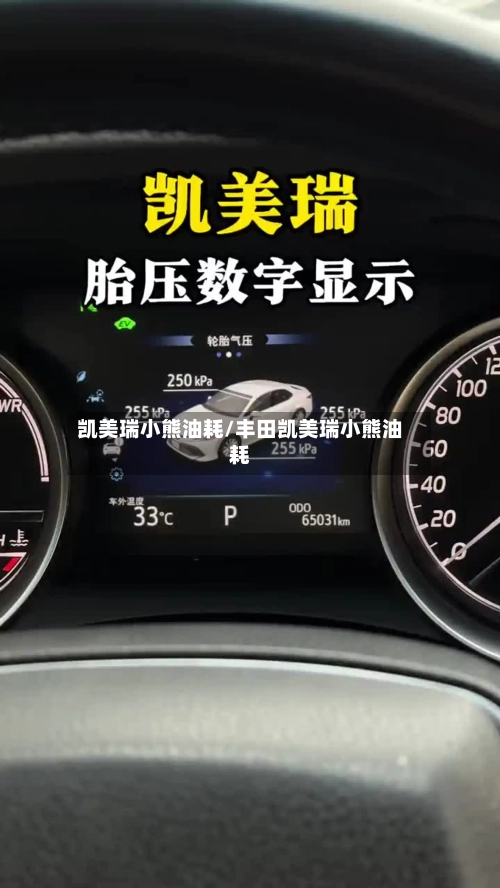 凯美瑞小熊油耗/丰田凯美瑞小熊油耗