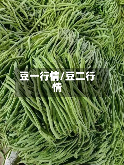 豆一行情/豆二行情