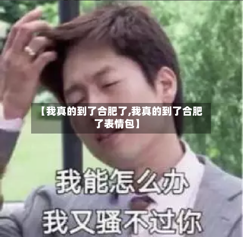 【我真的到了合肥了,我真的到了合肥了表情包】