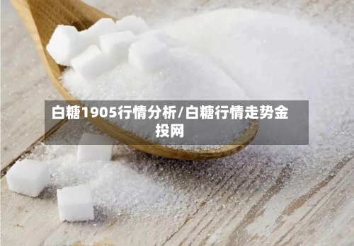 白糖1905行情分析/白糖行情走势金投网