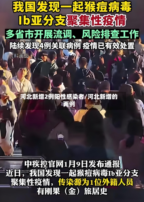 河北新增2例阳性感染者/河北新增的两例