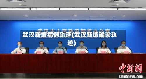 武汉新增病例轨迹(武汉新增确诊轨迹)