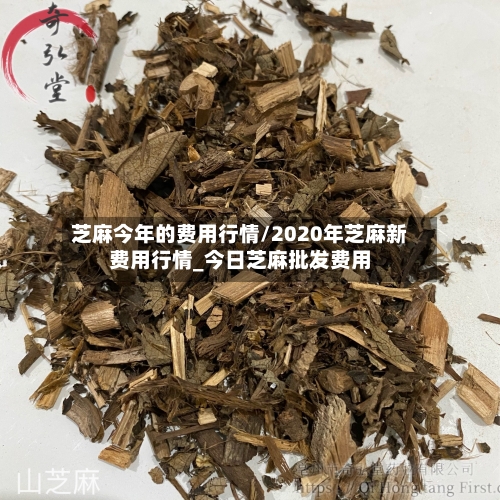 芝麻今年的费用行情/2020年芝麻新费用行情_今日芝麻批发费用
