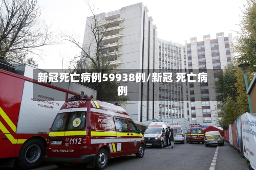新冠死亡病例59938例/新冠 死亡病例