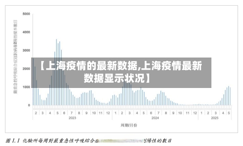【上海疫情的最新数据,上海疫情最新数据显示状况】