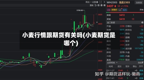 小麦行情跟期货有关吗(小麦期货是哪个)