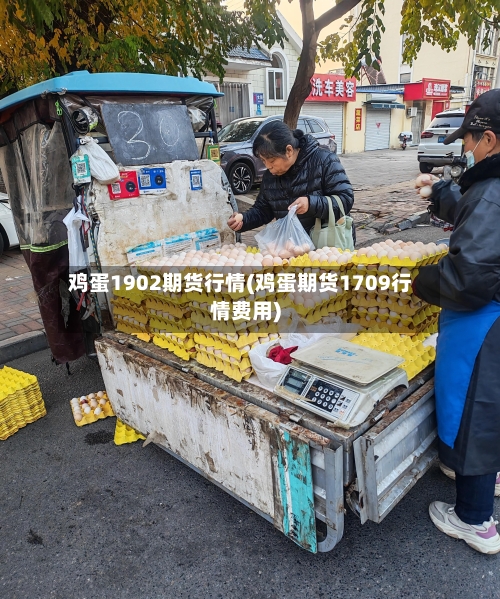 鸡蛋1902期货行情(鸡蛋期货1709行情费用)