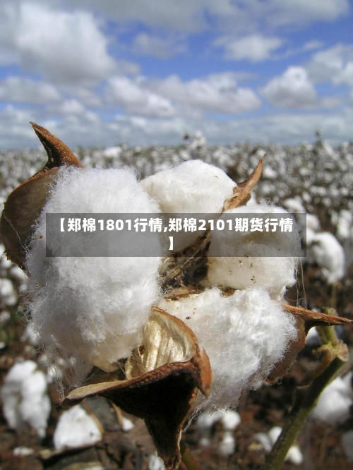 【郑棉1801行情,郑棉2101期货行情】
