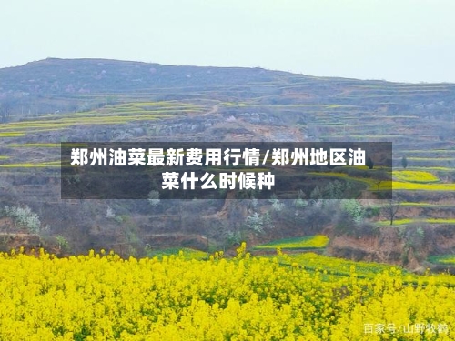 郑州油菜最新费用行情/郑州地区油菜什么时候种