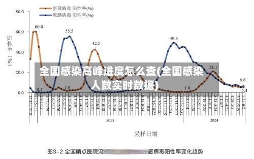 全国感染高峰进度怎么查(全国感染人数实时数据)