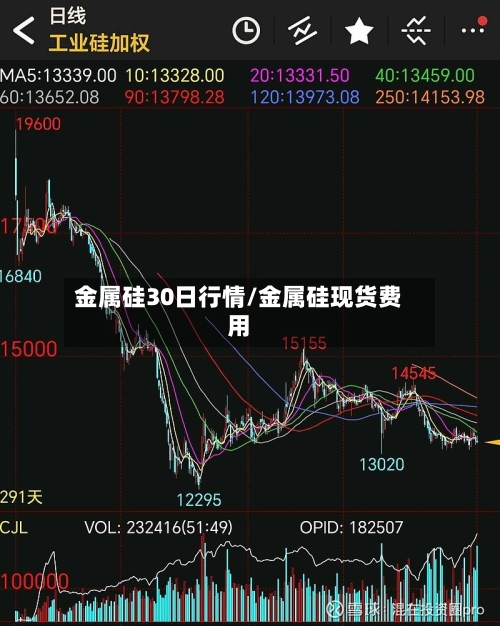 金属硅30日行情/金属硅现货费用