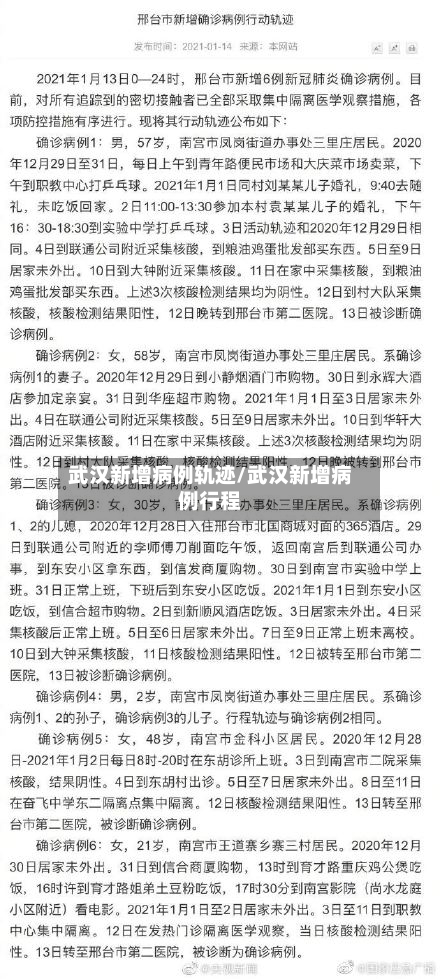 武汉新增病例轨迹/武汉新增病例行程