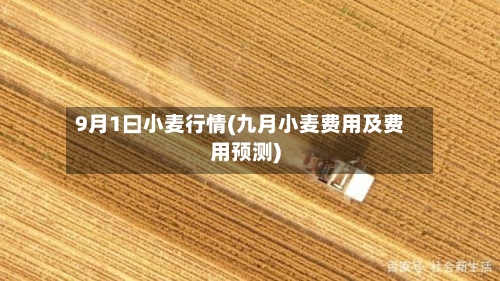 9月1曰小麦行情(九月小麦费用及费用预测)