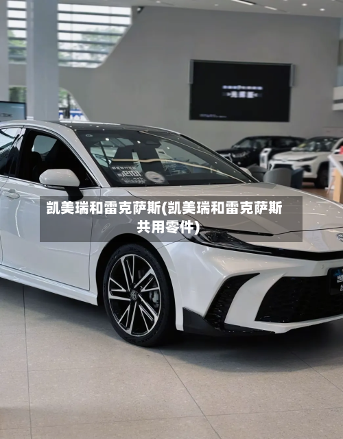凯美瑞和雷克萨斯(凯美瑞和雷克萨斯共用零件)