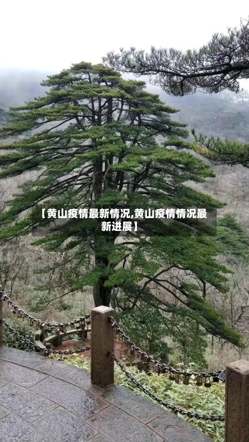 【黄山疫情最新情况,黄山疫情情况最新进展】