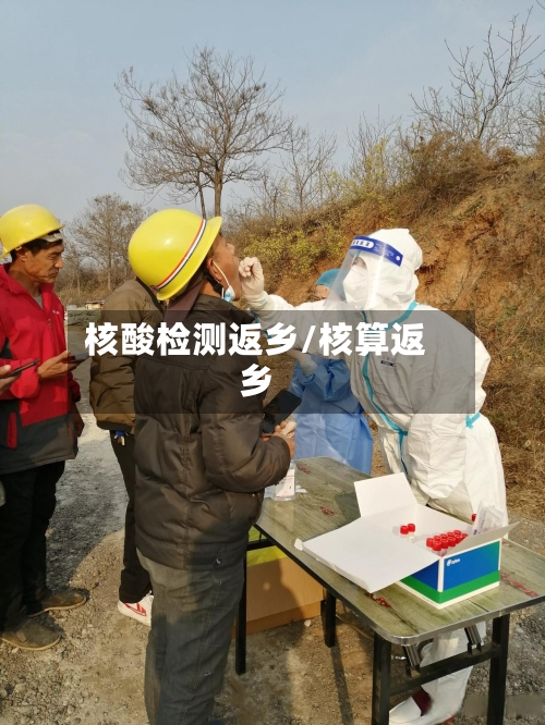 核酸检测返乡/核算返乡