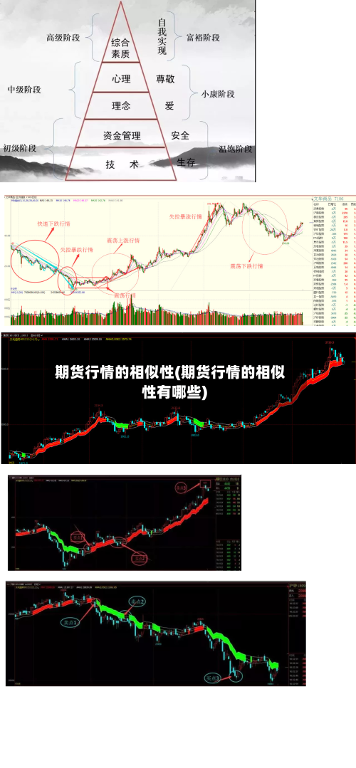 期货行情的相似性(期货行情的相似性有哪些)