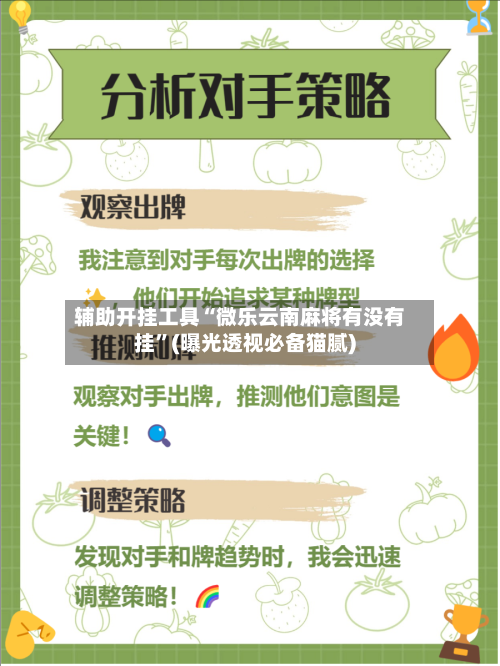辅助开挂工具“微乐云南麻将有没有挂”(曝光透视必备猫腻)