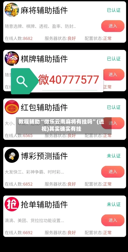 教程辅助“微乐云南麻将有挂吗”(透视)其实确实有挂