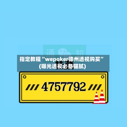指定教程“wepoker德州透视购买”(曝光透视必备猫腻)