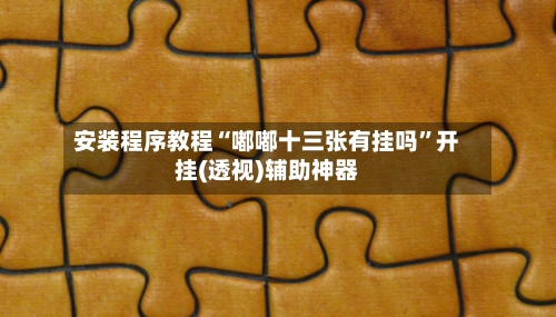 安装程序教程“嘟嘟十三张有挂吗”开挂(透视)辅助神器