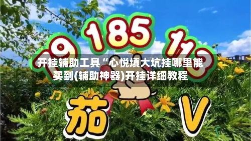 开挂辅助工具“心悦填大坑挂哪里能买到(辅助神器)开挂详细教程
