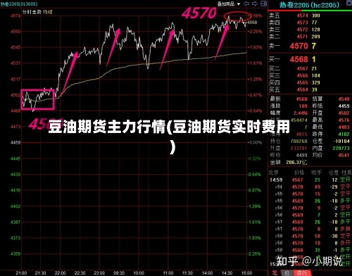豆油期货主力行情(豆油期货实时费用)