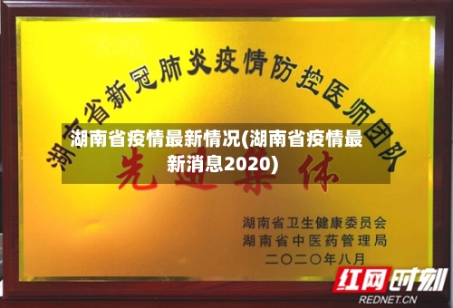 湖南省疫情最新情况(湖南省疫情最新消息2020)